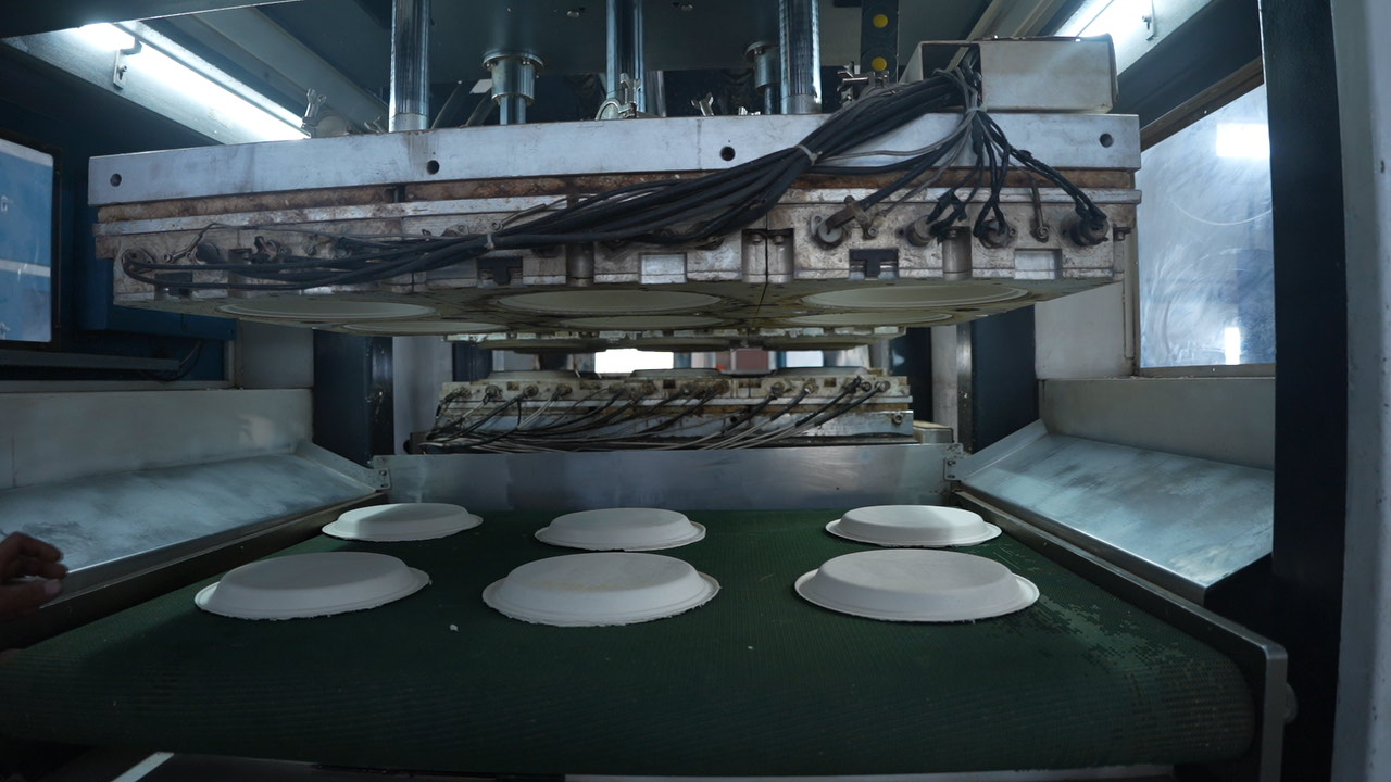 Compostable Tableware Manufacturing Process | BellaServe India